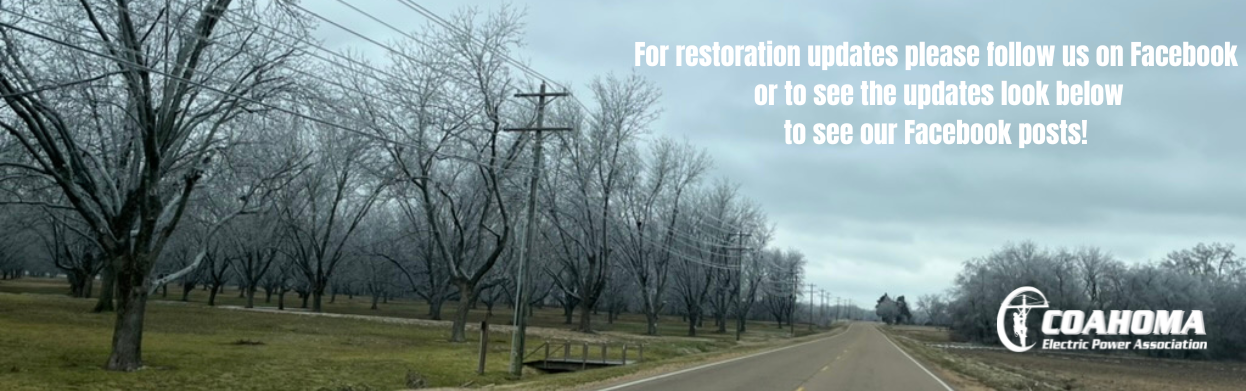 Restoration Updates Winter